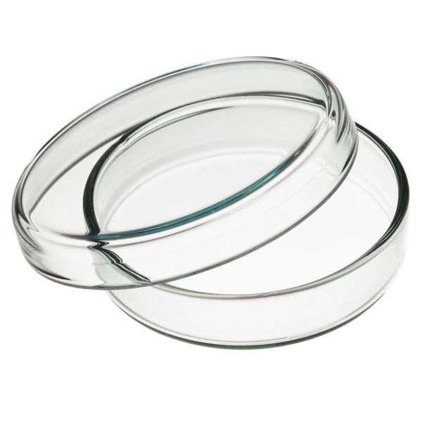 USA Lab Petri Dish - 60mm, 90mm & 100mm Questions & Answers